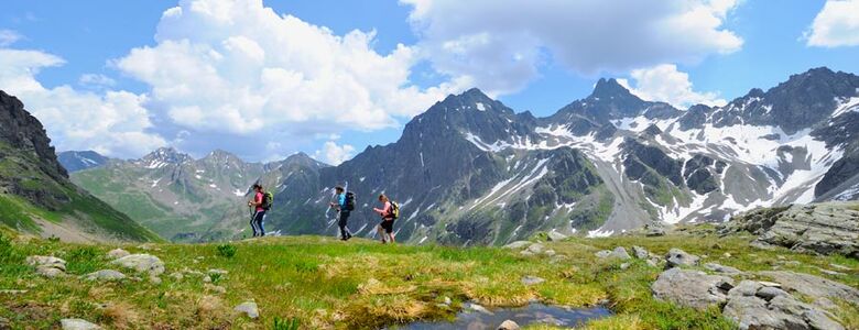 Three hikers explore a picturesque Alpine landscape under a blue sky with snow-covered peaks.